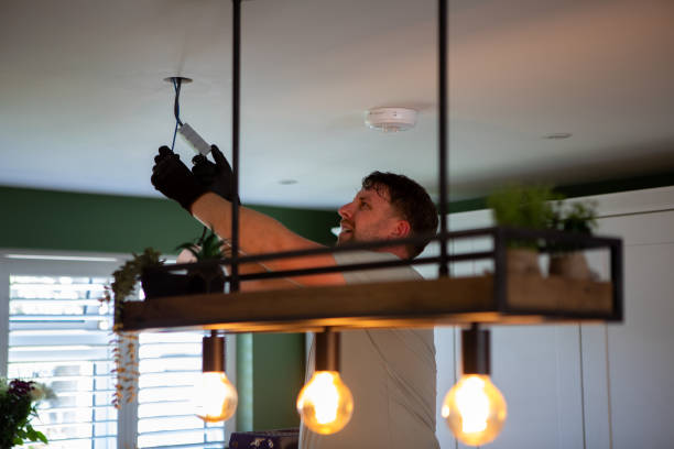 Best Home Electrical Repair  in Earlvle, IL