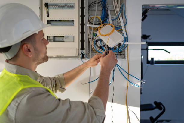 Best Electrical Repair Services  in Earlvle, IL